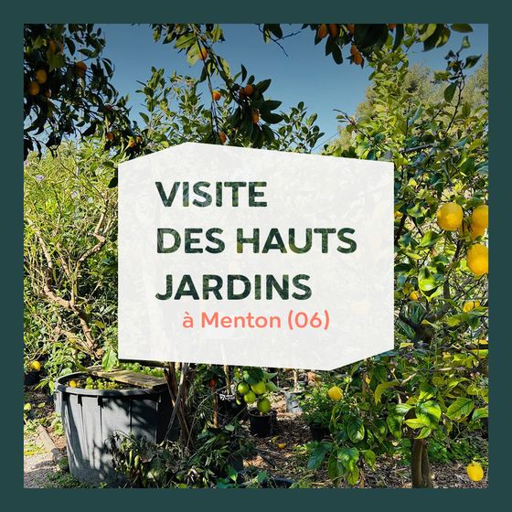 Carrousel Instagram Pitch Immo — slide de titre, Visite des Hauts Jardins à Menton