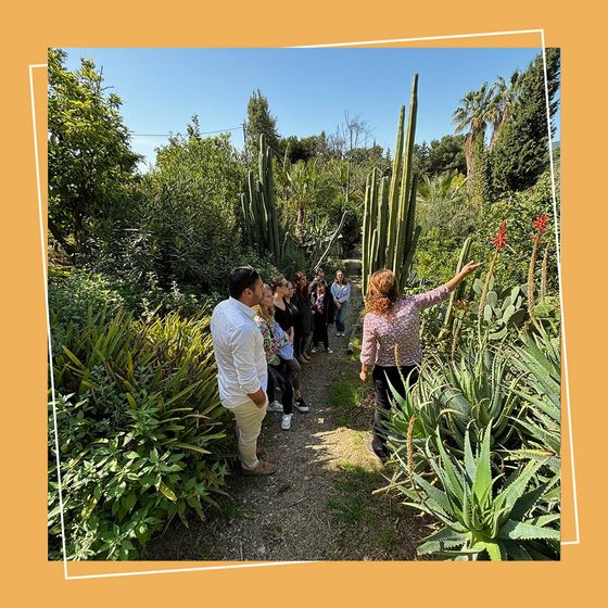 Carrousel Instagram Pitch Immo — visite guidée du jardin